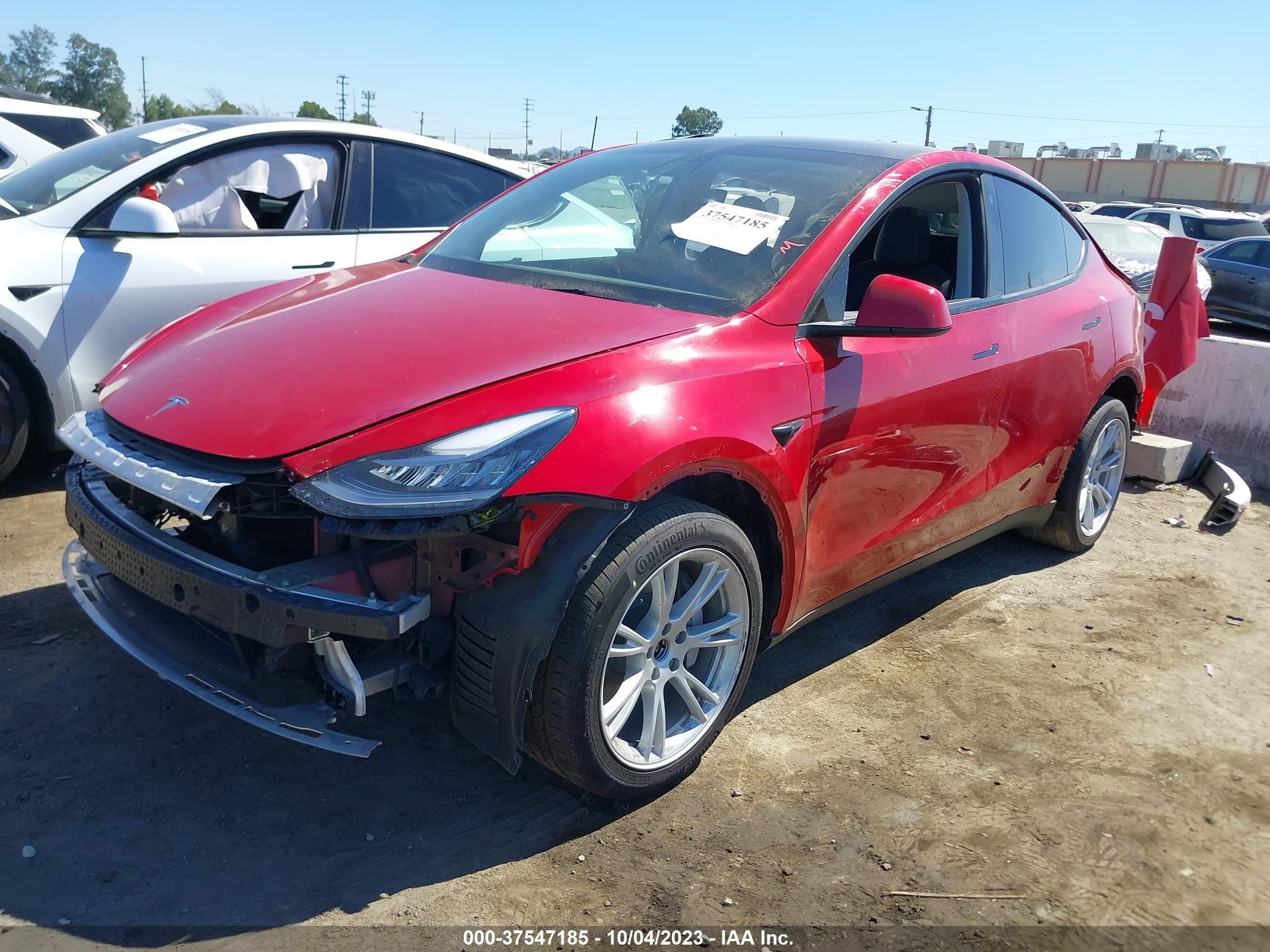 5YJYGDEE2MF231709  tesla model y 2021 IMG 1