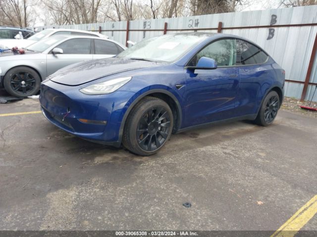 5YJYGDEE3MF255971  tesla model y 2021 IMG 1