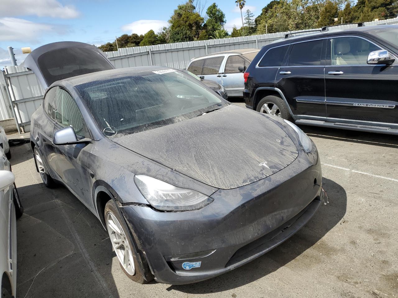 5YJYGDEE4MF160559  tesla model y 2021 IMG 3