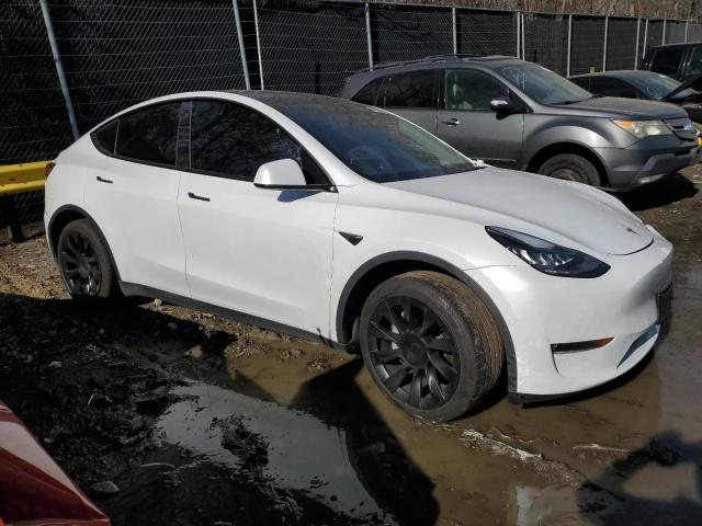 5YJYGDEE4MF278644  tesla model y 2021 IMG 3