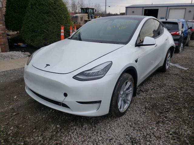 5YJYGDEE6MF146517  tesla model y 2021 IMG 1