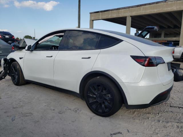 5YJYGDEE6MF153581  tesla model y 2021 IMG 1