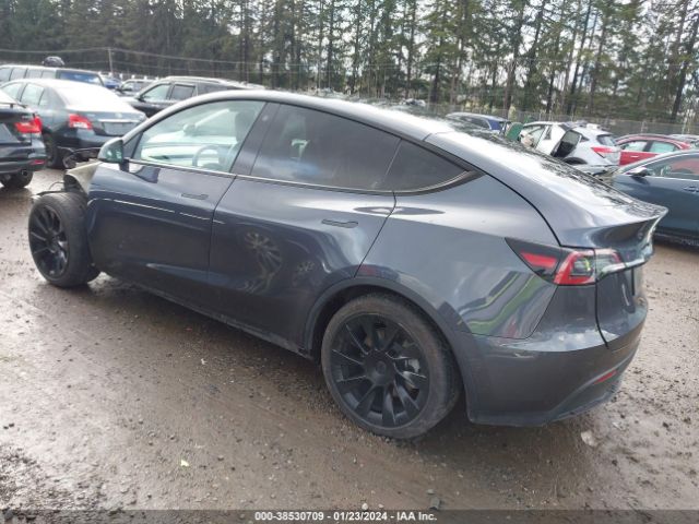 5YJYGDEE6MF213391  tesla model y 2021 IMG 2