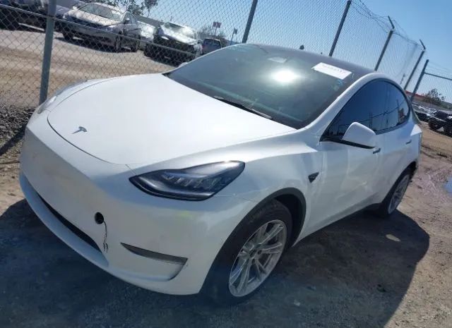 5YJYGDEE7MF299858  tesla model y 2021 IMG 1