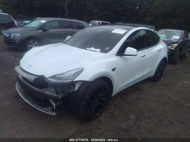 5YJYGDEE8MF087731  tesla model y 2021 IMG 1