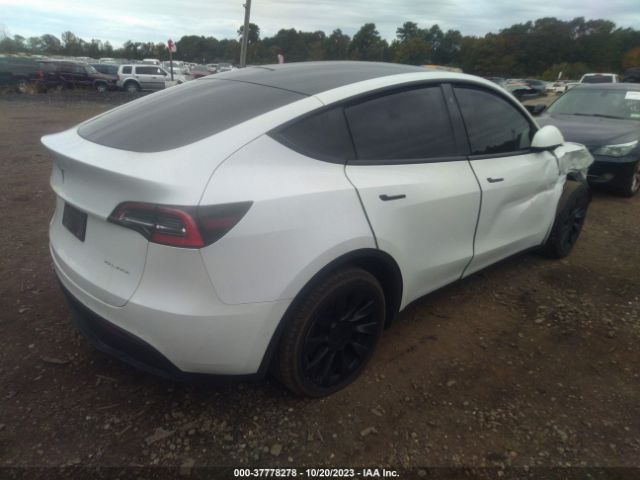 5YJYGDEE8MF087731  tesla model y 2021 IMG 3