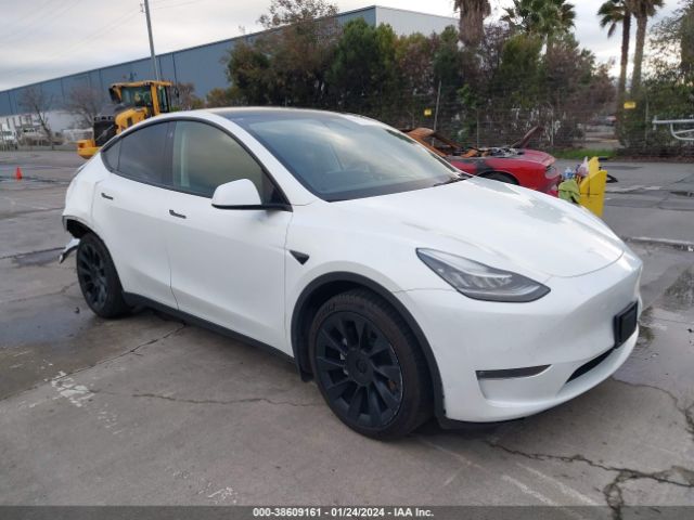 5YJYGDEE8MF115561  tesla model y 2021 IMG 0