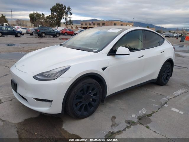 5YJYGDEE8MF115561  tesla model y 2021 IMG 1