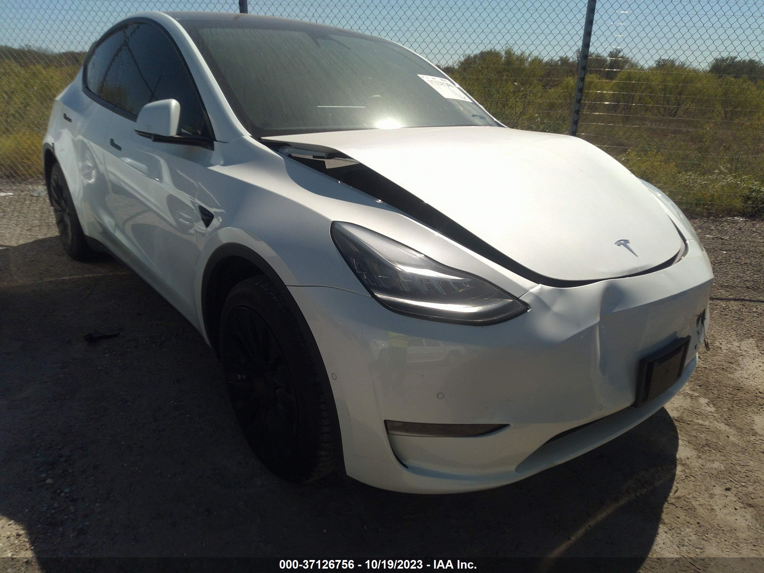 5YJYGDEE8MF203431  tesla model y 2021 IMG 0