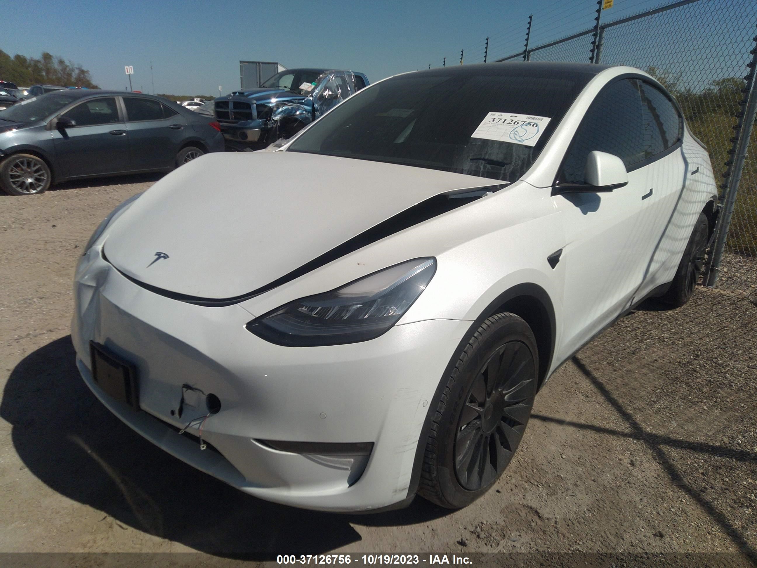 5YJYGDEE8MF203431  tesla model y 2021 IMG 1