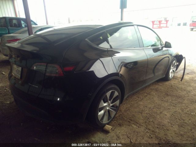 5YJYGDEE8MF204093  tesla model y 2021 IMG 3