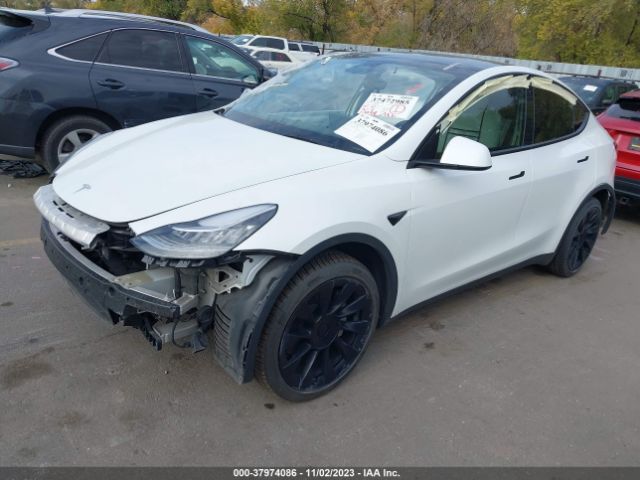 5YJYGDEE8MF212856  tesla model y 2021 IMG 1