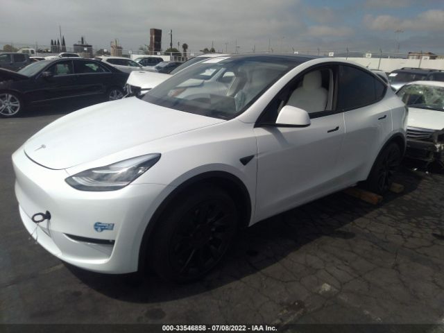 5YJYGDEE8MF240463  tesla model y 2021 IMG 1