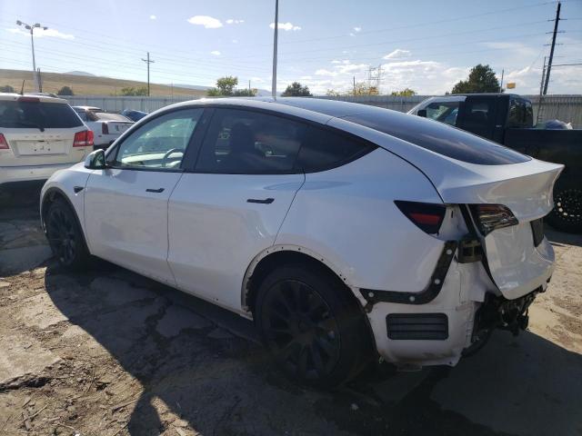 5YJYGDEE8MF255061  tesla model y 2021 IMG 1