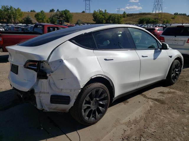 5YJYGDEE8MF255061  tesla model y 2021 IMG 2