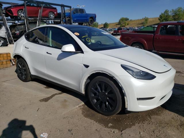 5YJYGDEE8MF255061  tesla model y 2021 IMG 3