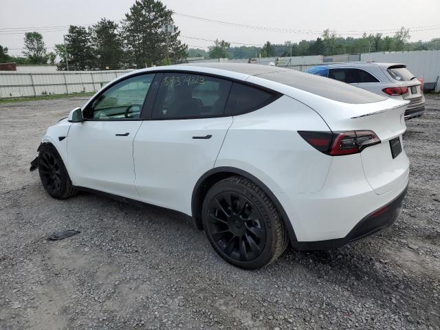 5YJYGDEE9MF144227  tesla model y 2021 IMG 1