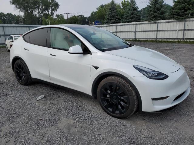 5YJYGDEE9MF144227  tesla model y 2021 IMG 3