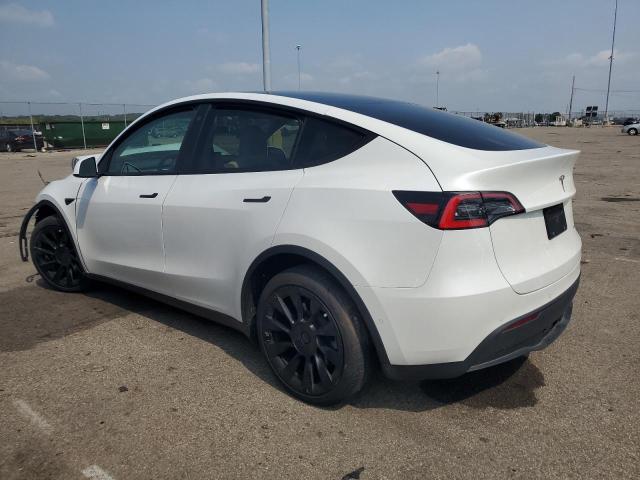 5YJYGDEEXMF121202  tesla model y 2021 IMG 1