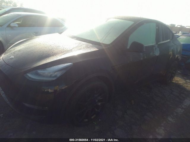 5YJYGDEEXMF142812  tesla model y 2021 IMG 1