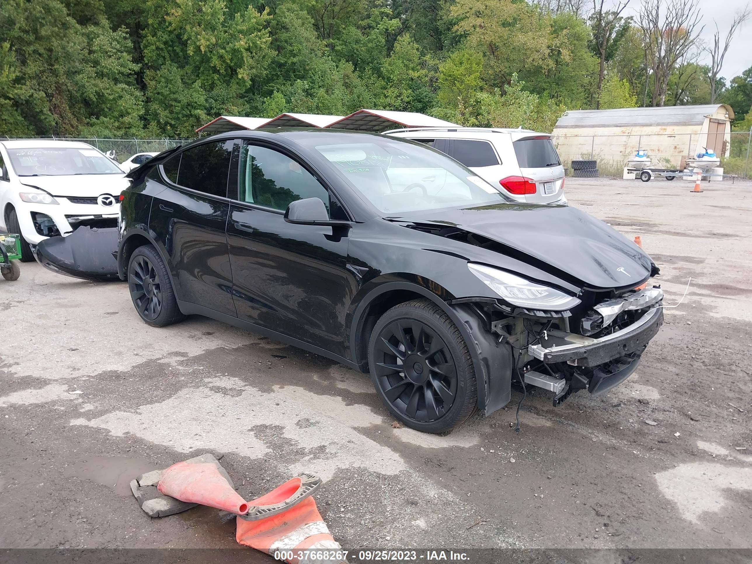 5YJYGDEEXMF190813  tesla model y 2021 IMG 0