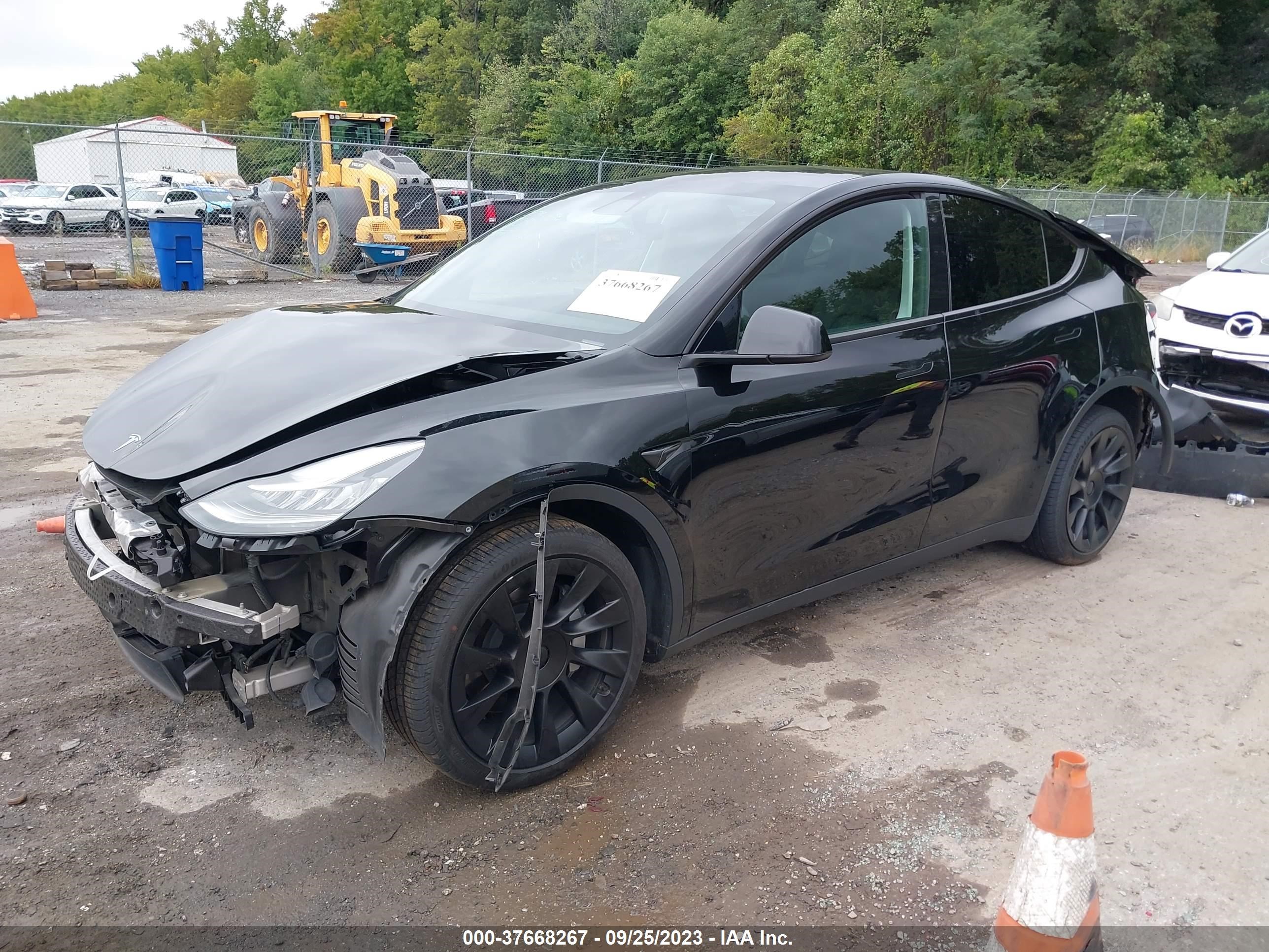 5YJYGDEEXMF190813  tesla model y 2021 IMG 1