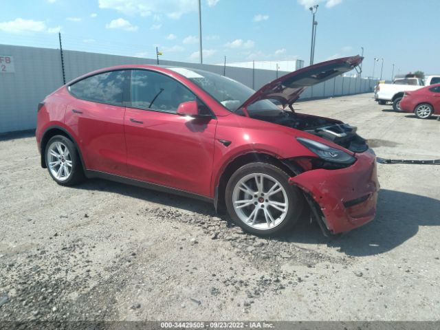 5YJYGDEEXMF293519  tesla model y 2021 IMG 0