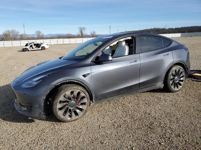 5YJYGDEF6MF072525  tesla model y 2021 IMG 0