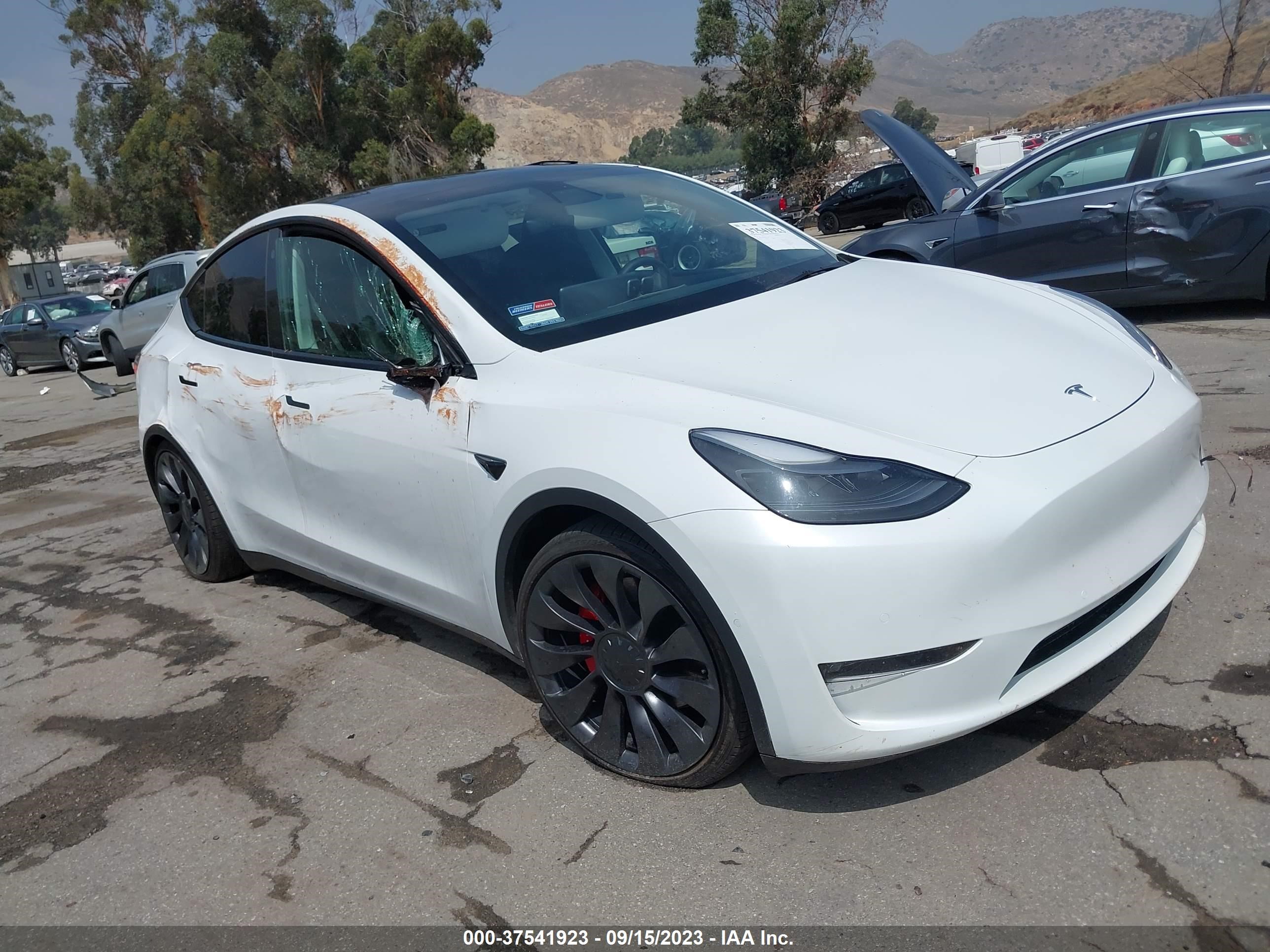 5YJYGDEF8MF151209  tesla model y 2021 IMG 0