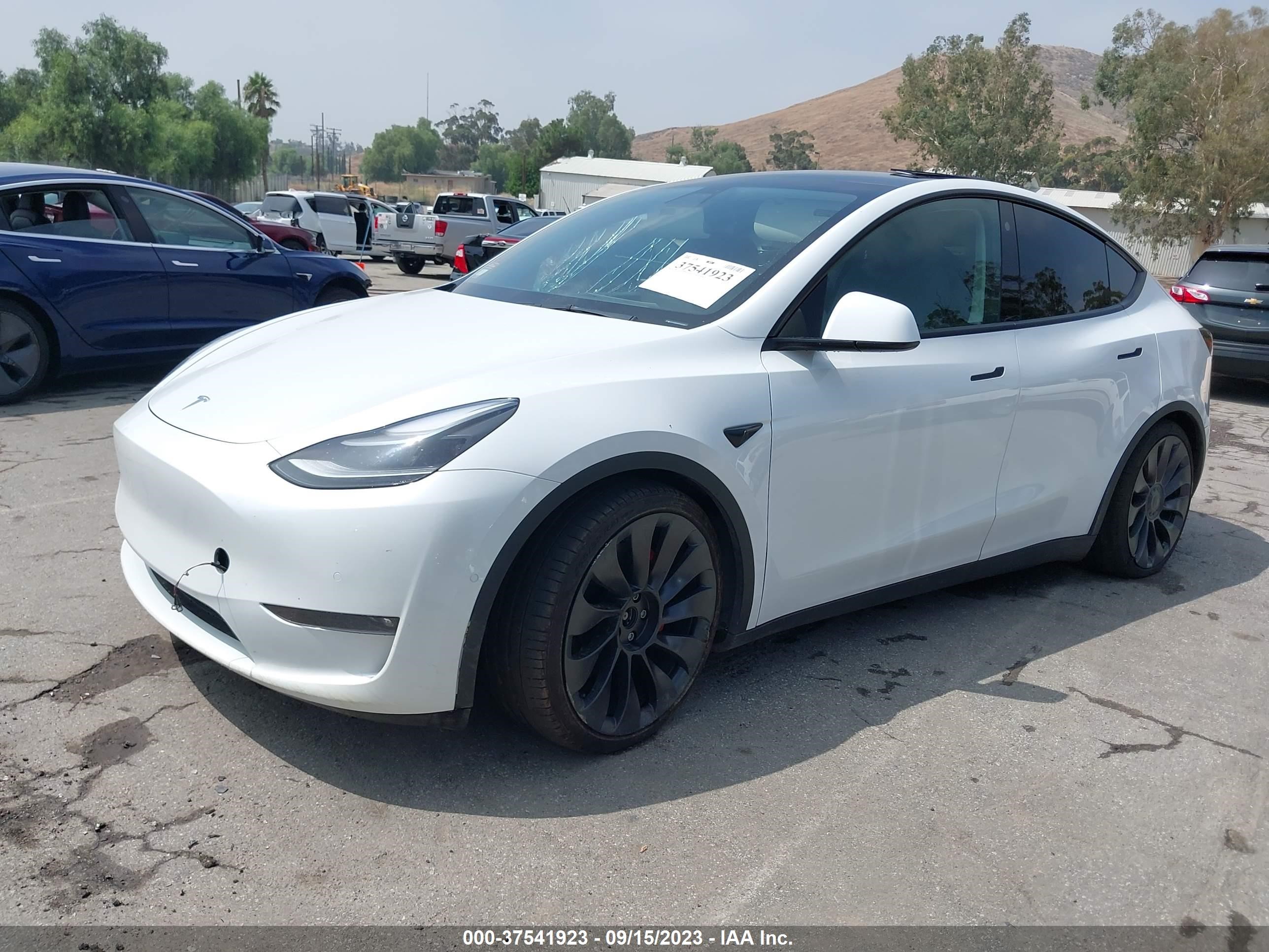 5YJYGDEF8MF151209  tesla model y 2021 IMG 1