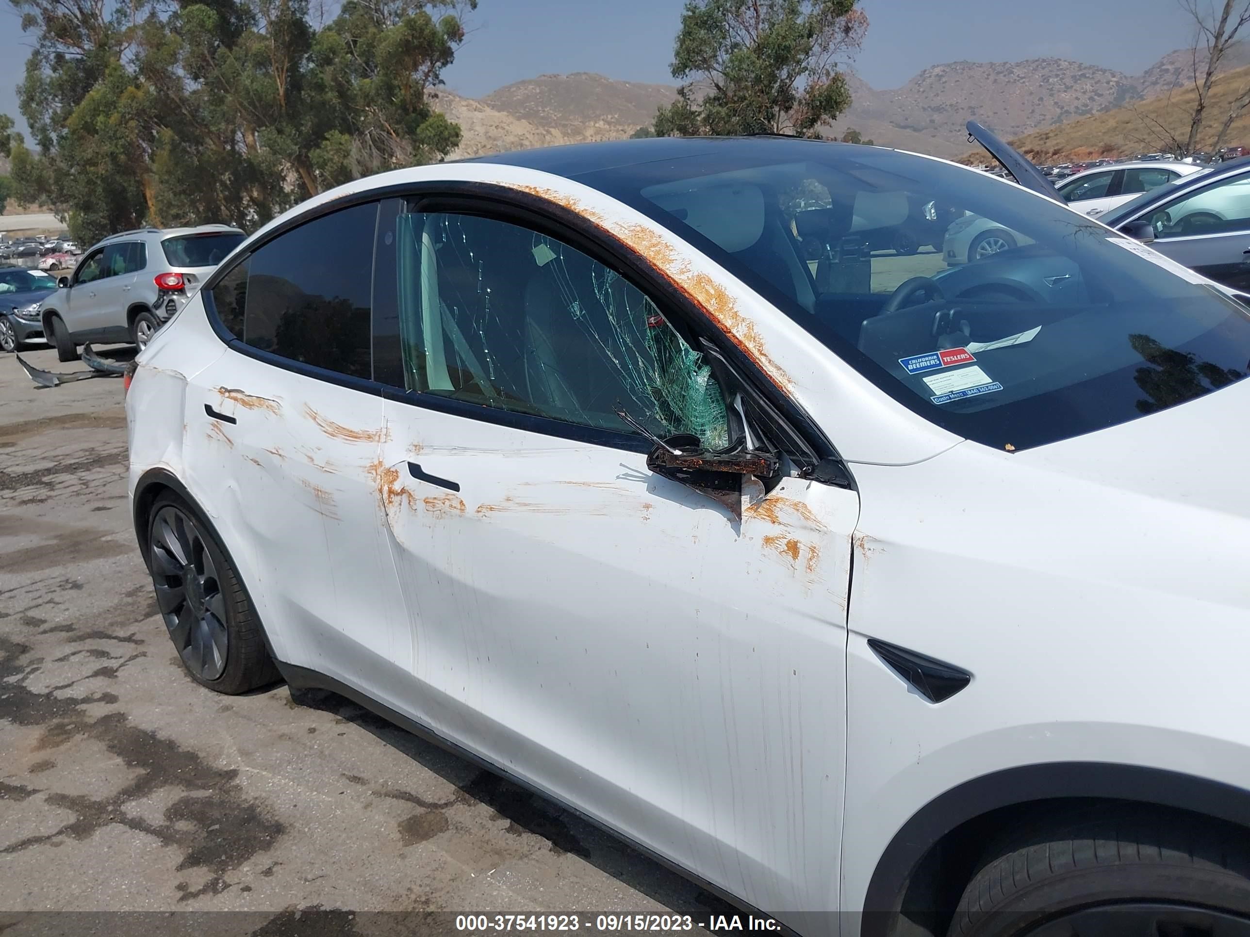 5YJYGDEF8MF151209  tesla model y 2021 IMG 5