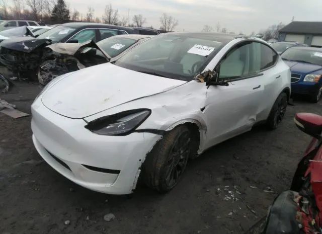 5YJYGDEF8MF264593  tesla model y 2021 IMG 1