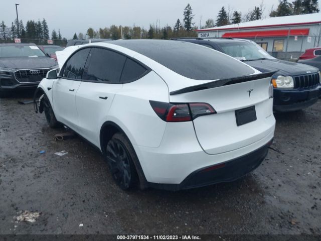 7SAYGAEE9NF548843  tesla model y 2022 IMG 2