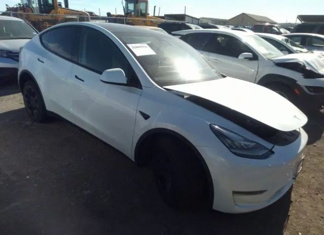 7SAYGDEE0PA032582  tesla model y 2023 IMG 0