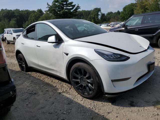 7SAYGDEE1NF513764  tesla model y 2022 IMG 3