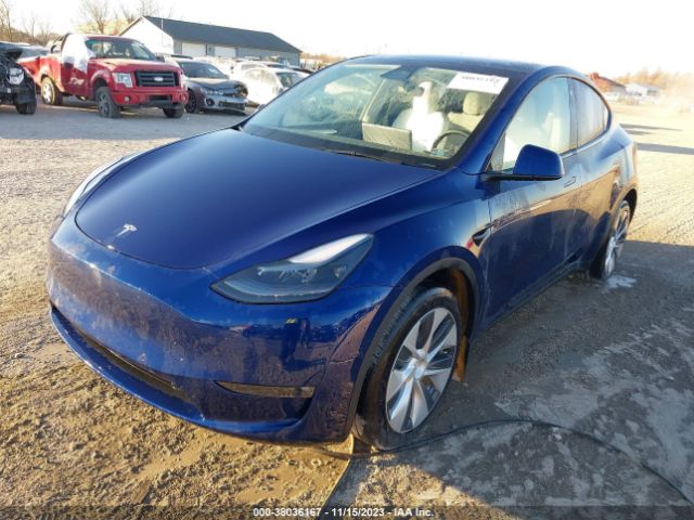 7SAYGDEE1NF537501  tesla model y 2022 IMG 1