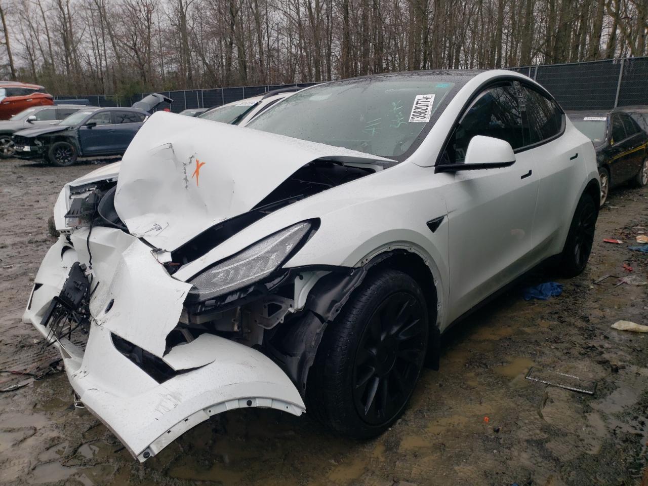 7SAYGDEE4PF606457  tesla model y 2023 IMG 0