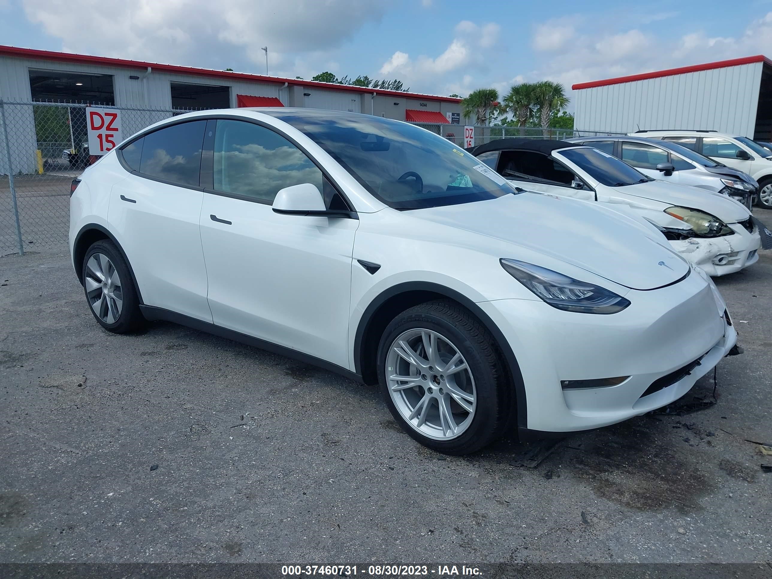 7SAYGDEE4PF613909  tesla model y 2023 IMG 0