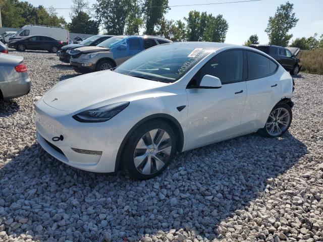 7SAYGDEE6NA011913  tesla model y 2022 IMG 0