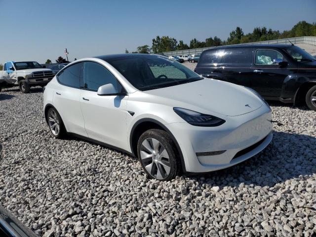 7SAYGDEE6NA011913  tesla model y 2022 IMG 3