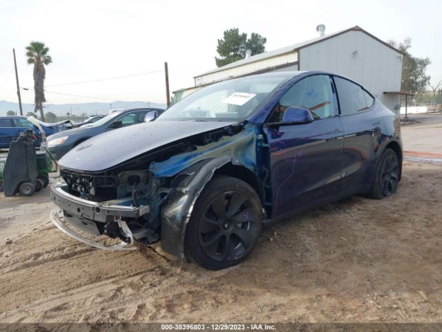 7SAYGDEE6NF559901  tesla model y 2022 IMG 1