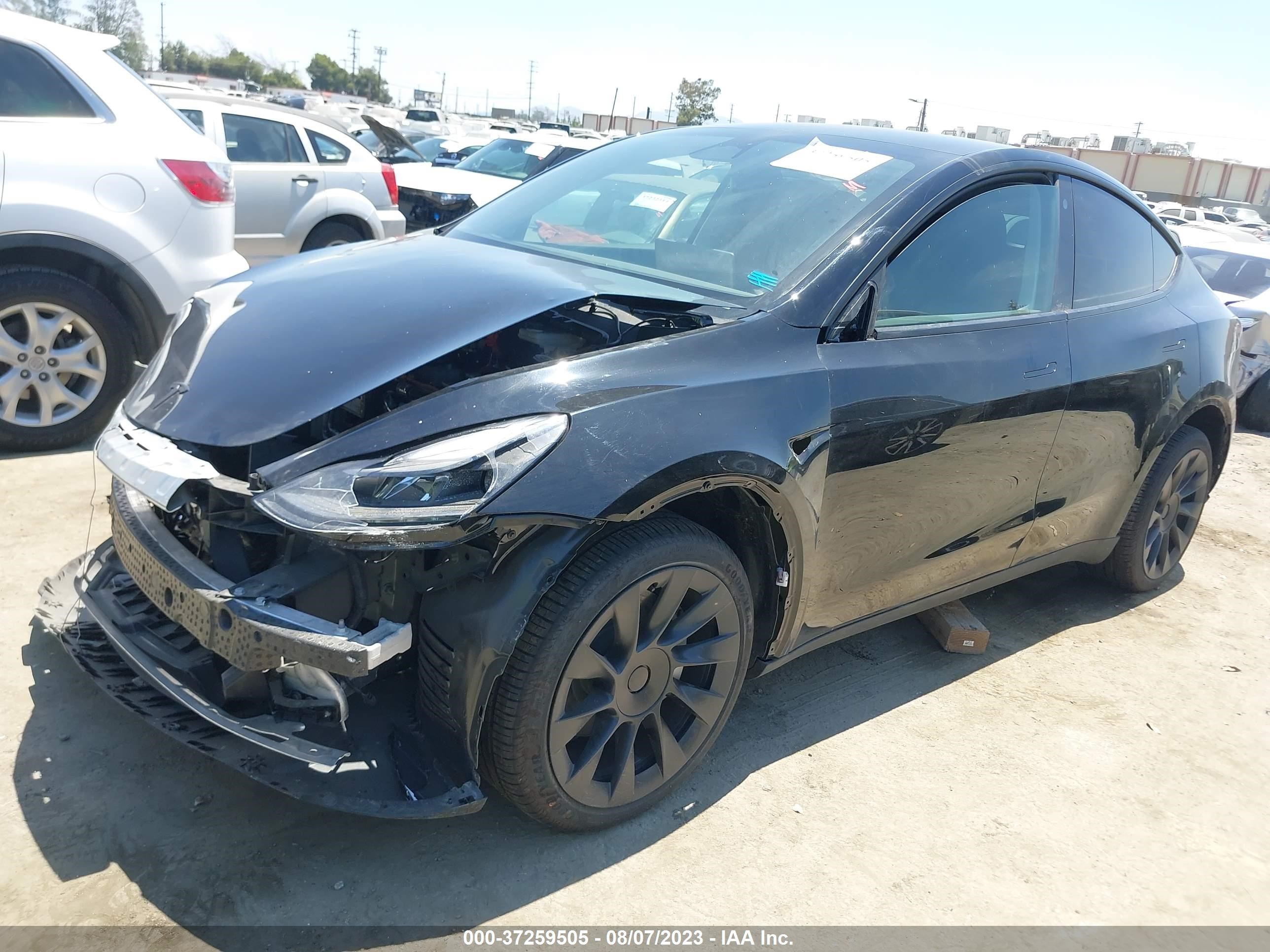 7SAYGDEE6PA030979  tesla model y 2023 IMG 1