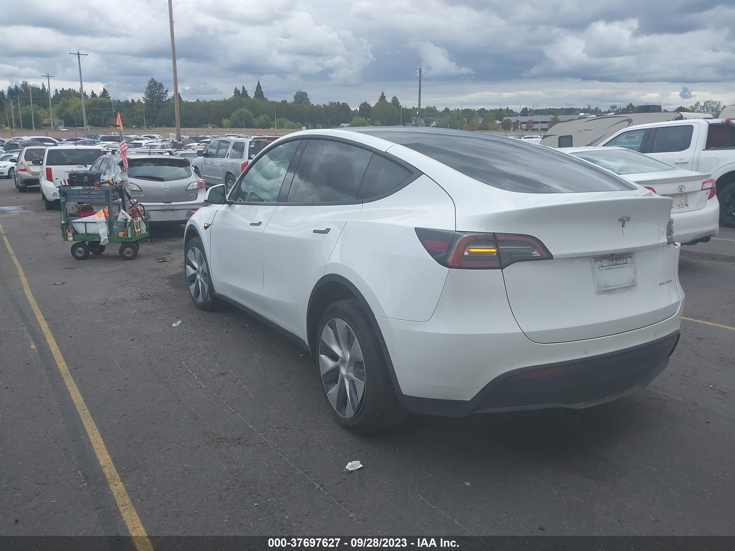 7SAYGDEEXNF367106  tesla model y 2022 IMG 2