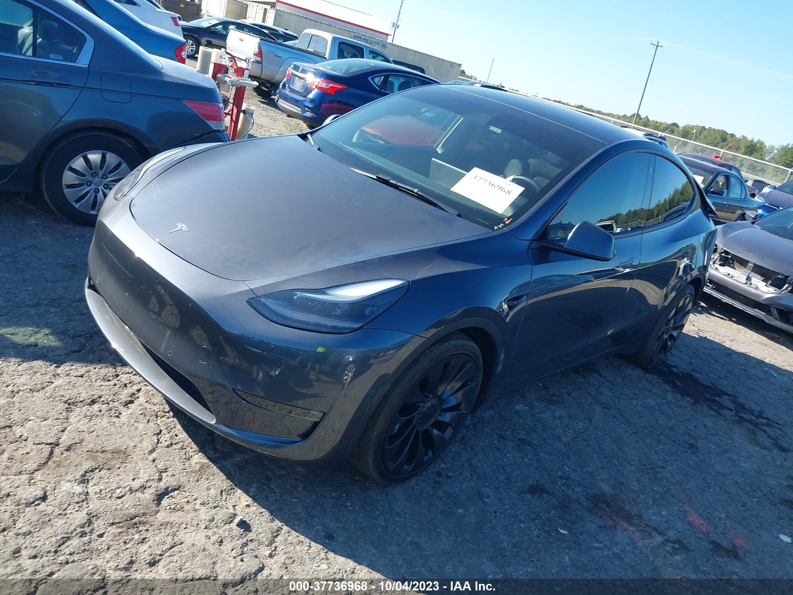 7SAYGDEF1NF464459  tesla model y 2022 IMG 1