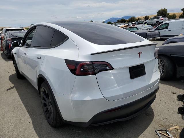 7SAYGAEE1PF906942  tesla model y 2023 IMG 1