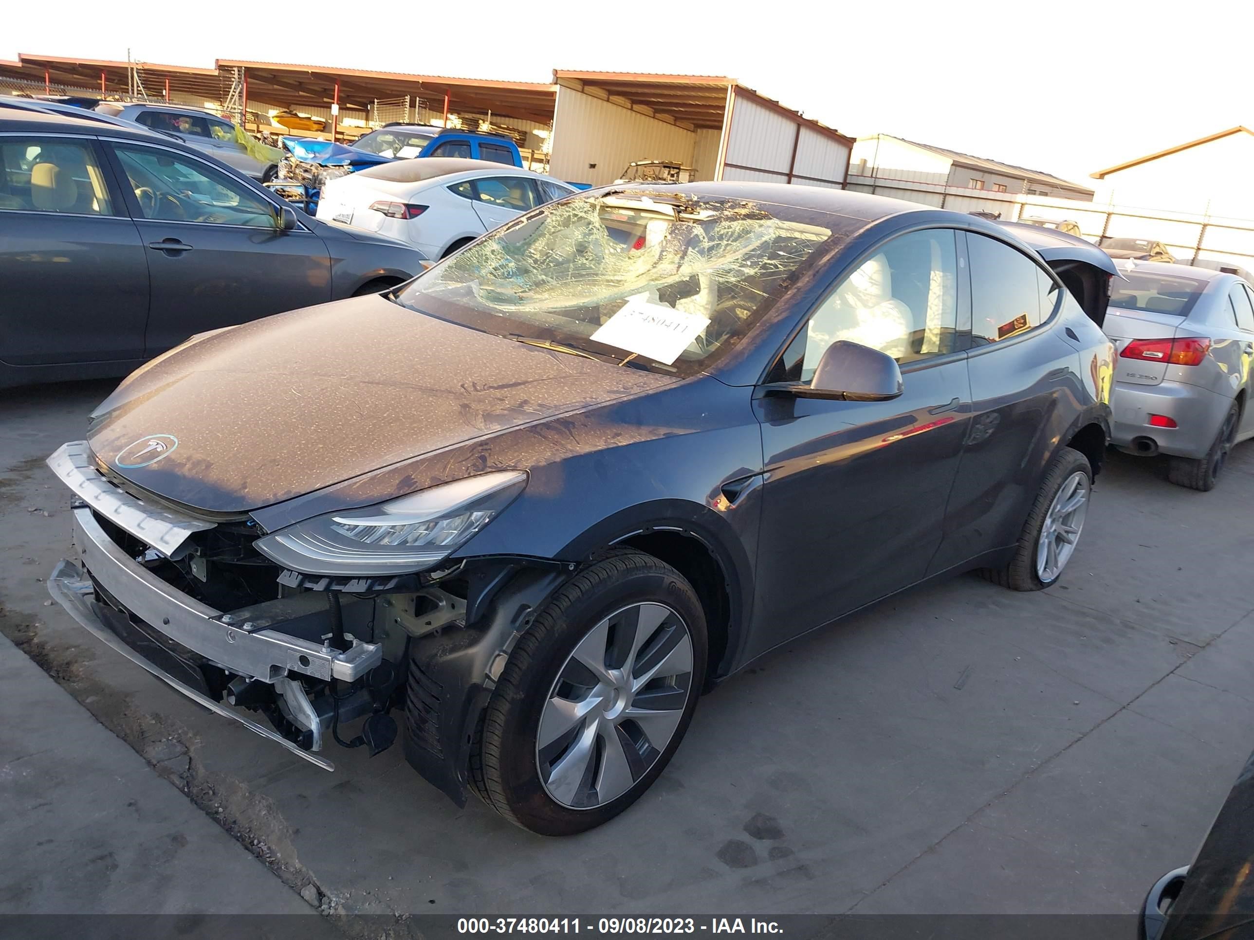 7SAYGDEE0PA155198  tesla model y 2023 IMG 1