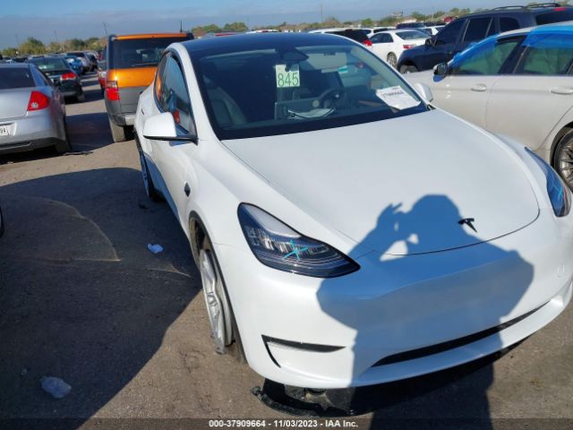 7SAYGDEE0PA157839  tesla model y 2023 IMG 0