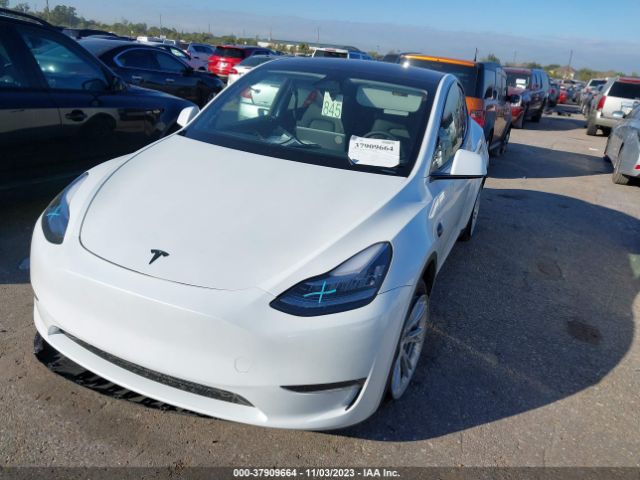 7SAYGDEE0PA157839  tesla model y 2023 IMG 1