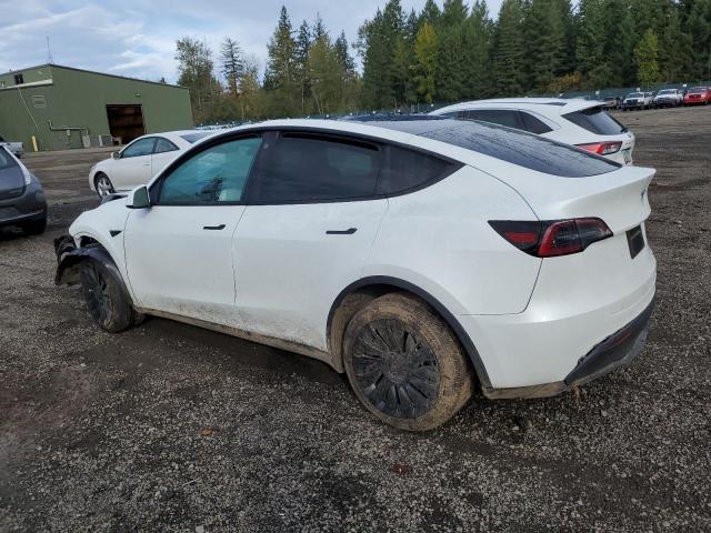 7SAYGDEE1PF661626  tesla model y 2023 IMG 1