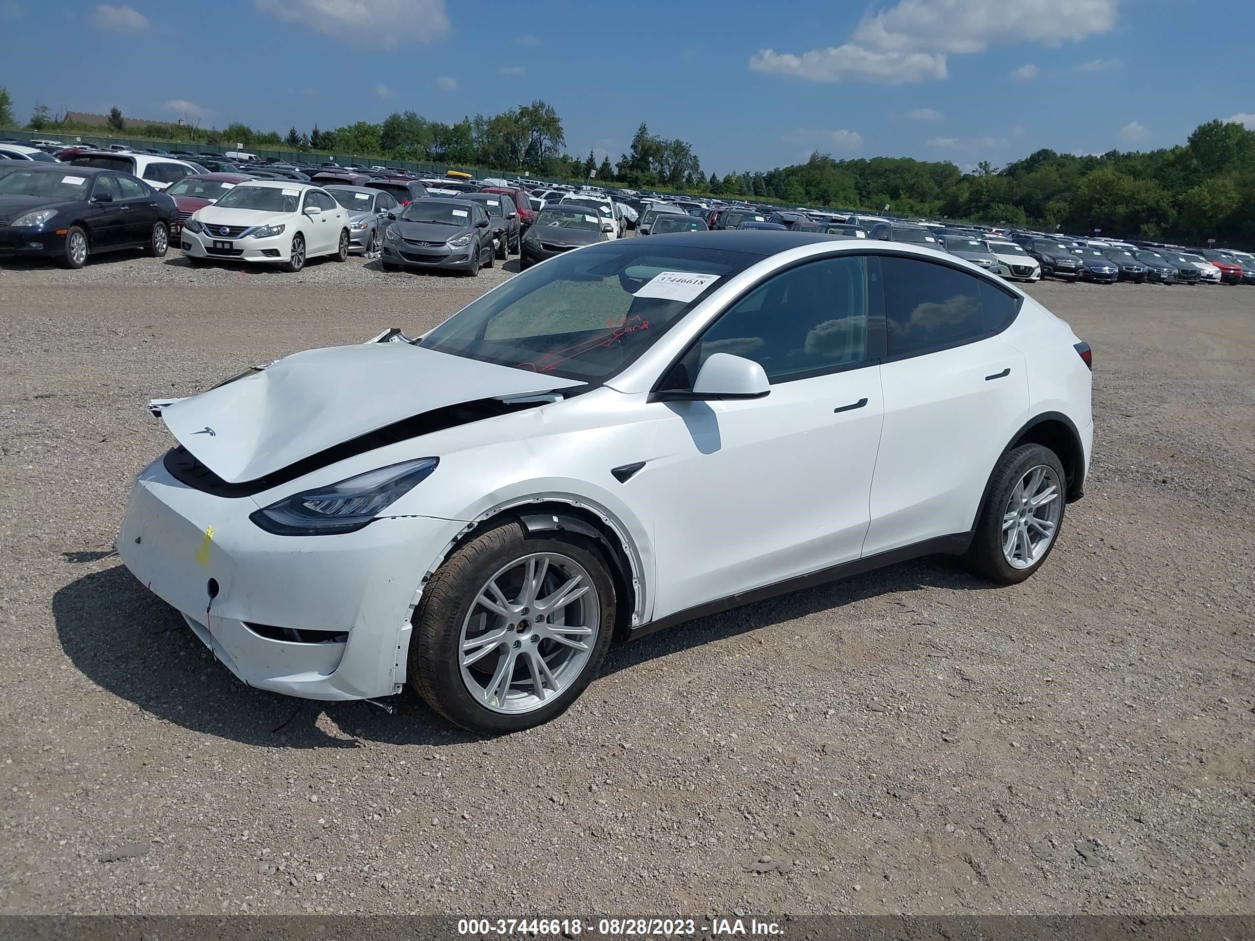 7SAYGDEE2PA060299  tesla model y 2023 IMG 1